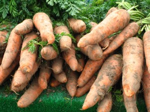 carrots