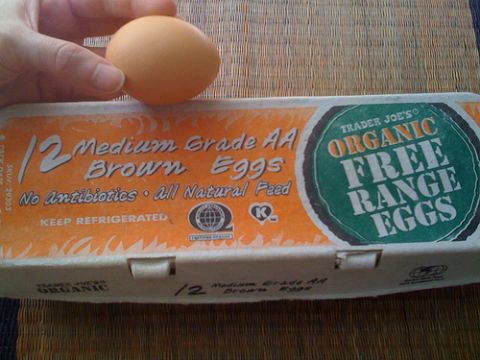 organic, free-range toddler