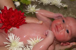 Edmund in flowers