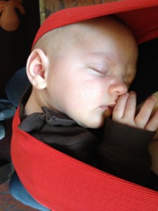 My view when my son is in the carrier. Who wouldn't want to look at this all day?