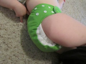 baby kicks new basic pocket diaper review